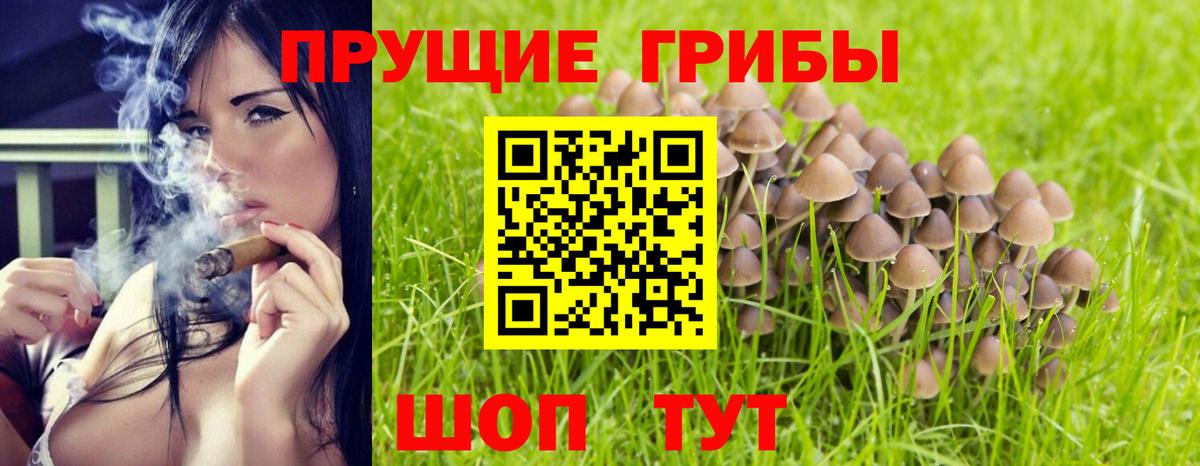 Галлюциногенные грибы Psilocybine cubensis  Псилоцибиновые грибы Cubensis  Избербаш  Вход с VPN 