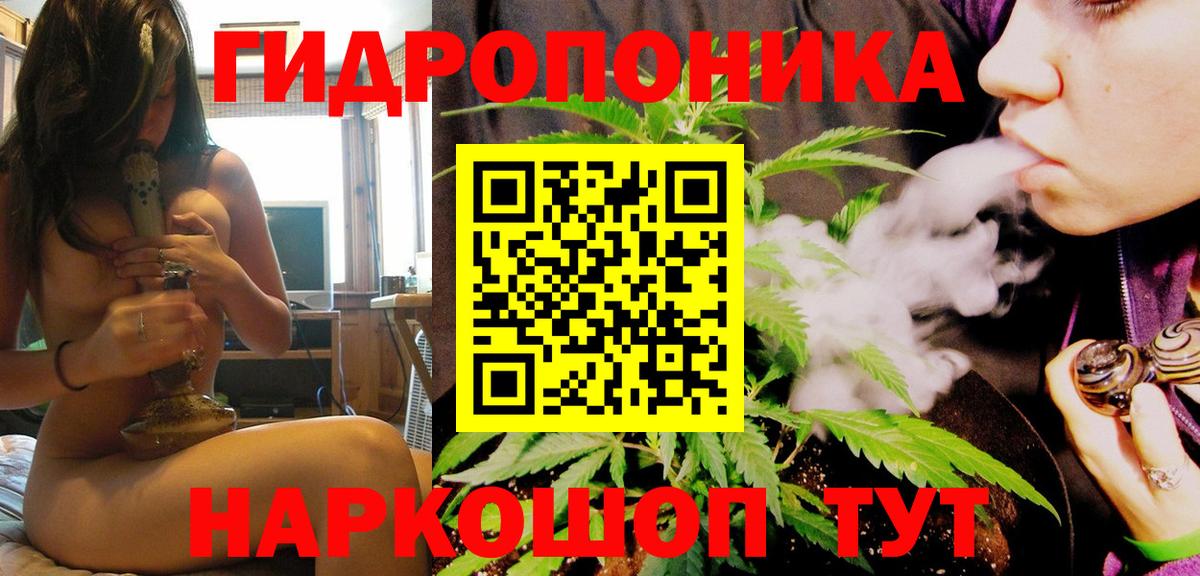 Шишки марихуана сатива  МАРИХУАНА OG Kush  Вход с VPN  Избербаш 